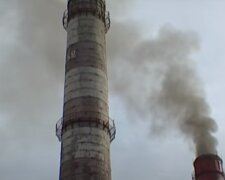 energy, ecology